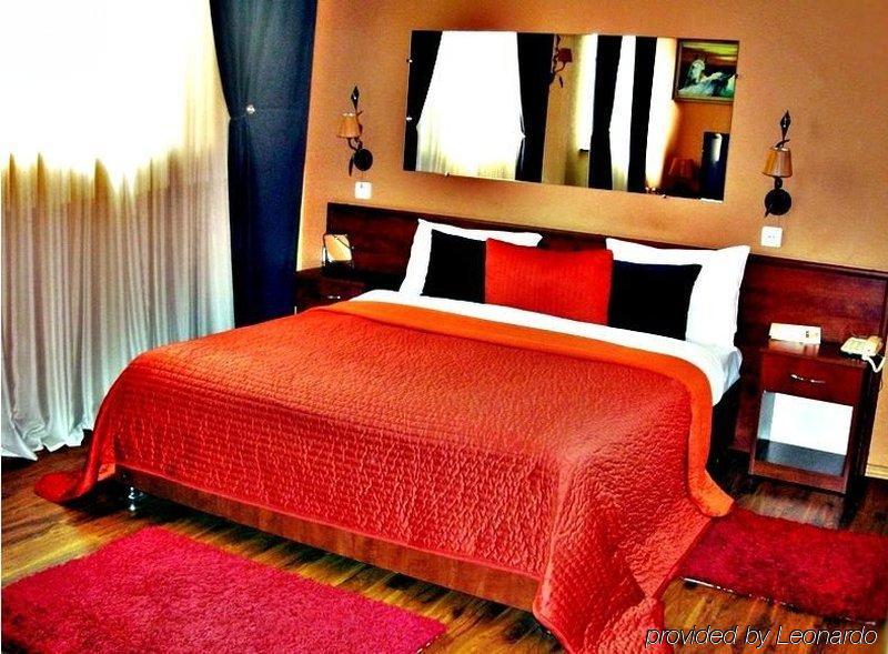 Art-Rustic Boutique Hotel Κισινάου Δωμάτιο φωτογραφία